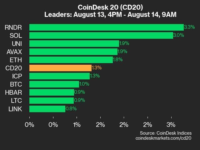 9am CoinDesk 20 Update for 2024-08-14: leaders