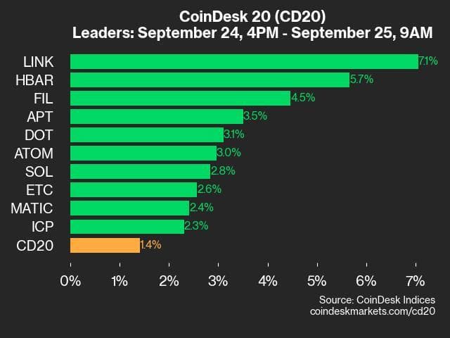 9am CoinDesk 20 Update for 2024-09-25: leaders