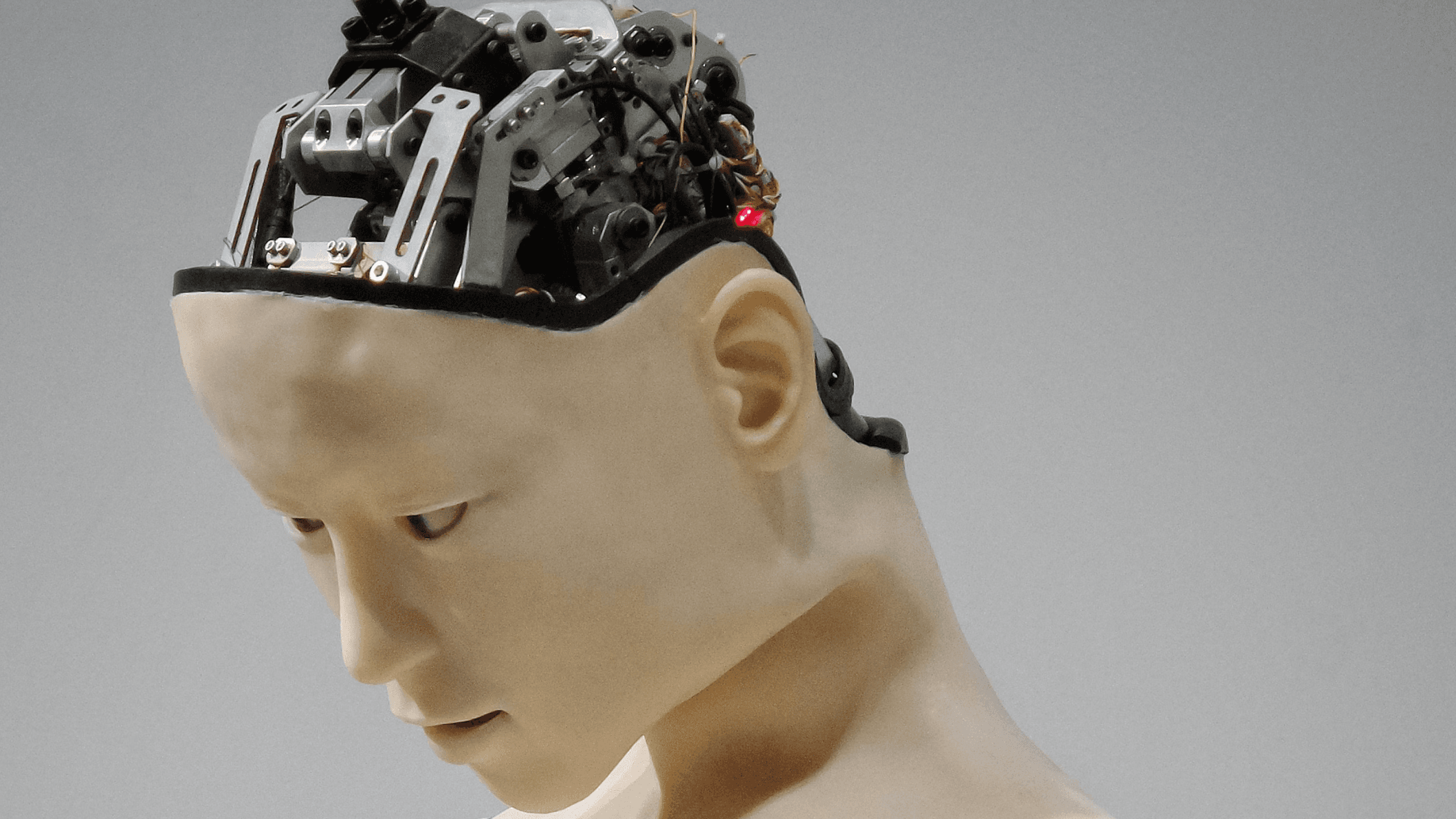 CROP 16:9 AI, artificial intelligence, robots, humanoid, machine learning, plastic, head, future, futurism, chips, silicon, wafers, (Possessed Photography/Unsplash)