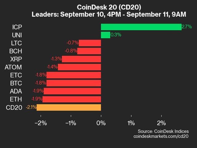 9am CoinDesk 20 Update for 2024-09-11: leaders