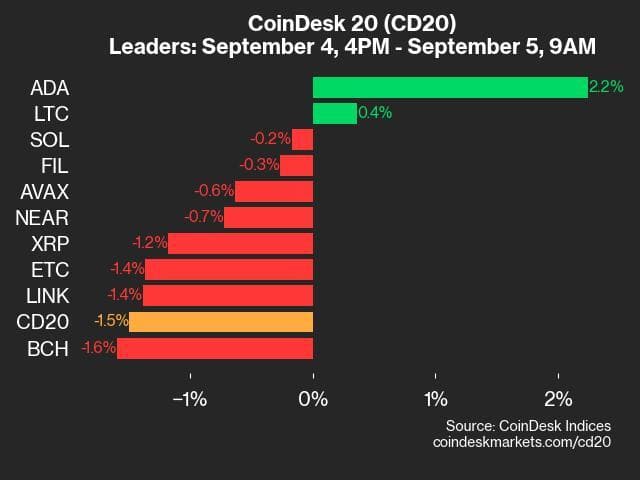 9am CoinDesk 20 Update for 2024-09-05: leaders